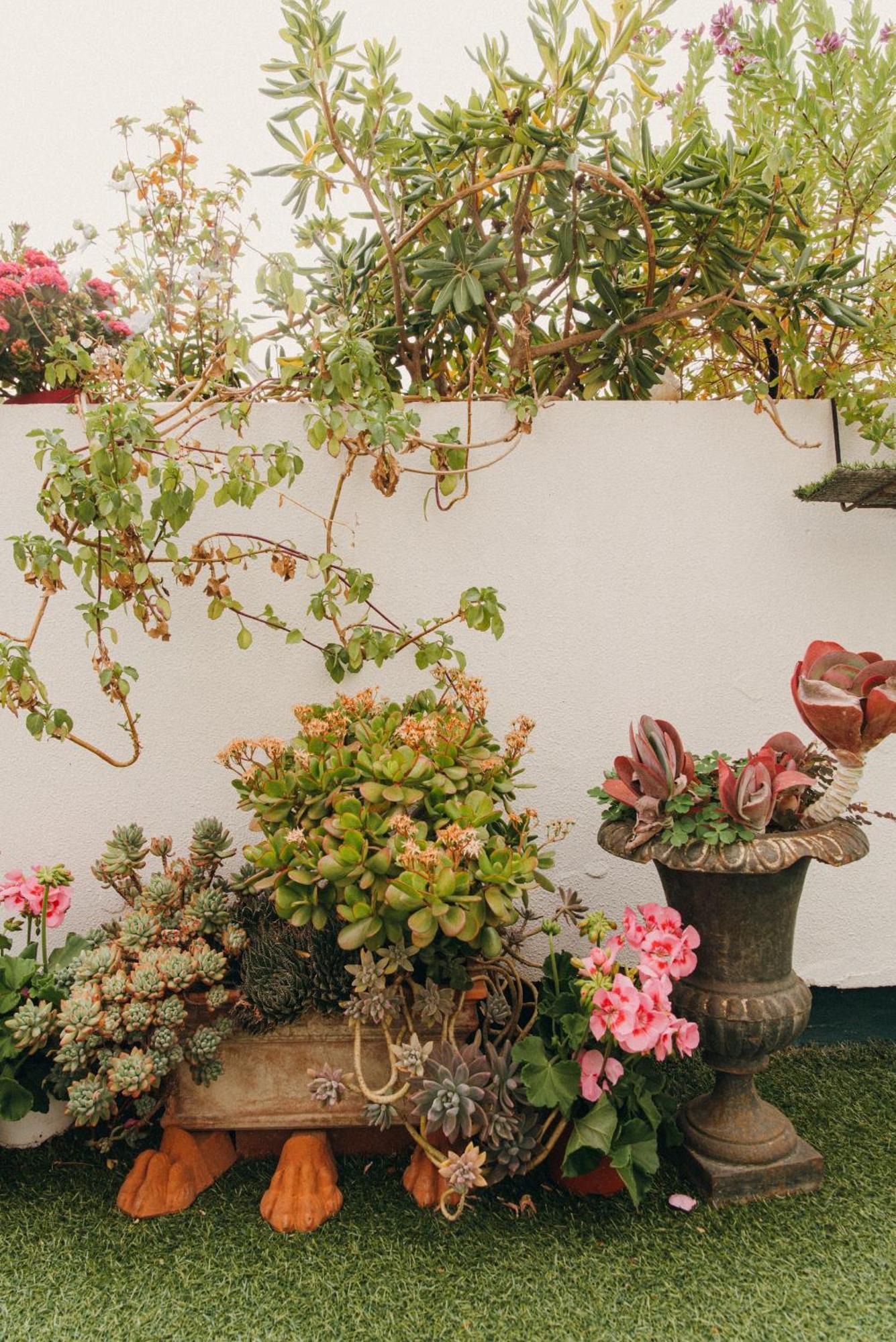 La Petite Maison Marseille Exteriér fotografie